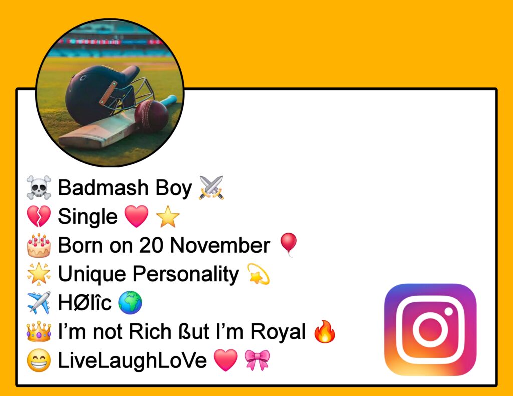 Stylish Bio For Cricket Lover