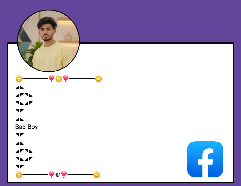 Facebook VIP Bio Stylish