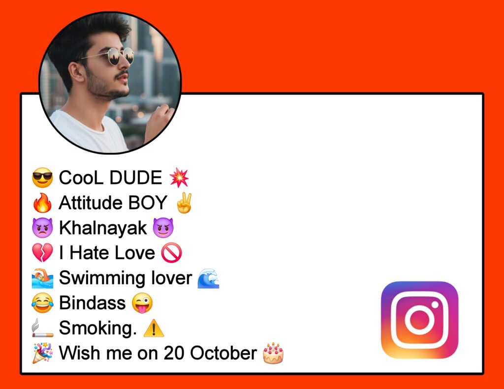 Instagram Bio For Boys Attitude