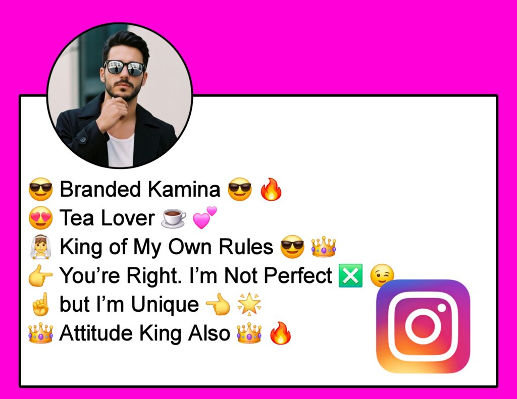 Instagram Bio Me Kya Likhe Attitude
