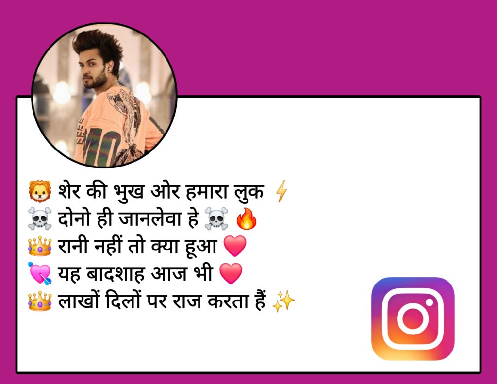 Instagram Bio in Hindi Attitude